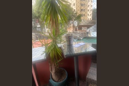 Apartamento para alugar com 237m², 3 quartos e 3 vagas Apartamento para alugar com 237m², 3 quartos e 3 vagasÁrea externa