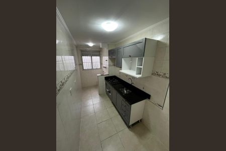 Cozinha de apartamento para alugar com 3 quartos, 67m² em Vila Nova Cachoeirinha, São Paulo