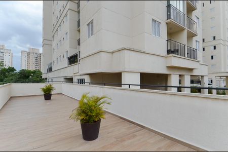Apartamento para alugar com 51m², 2 quartos e 1 vagaTerraço