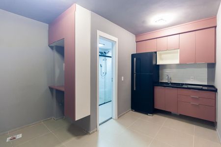 Cozinha de apartamento para alugar com 1 quarto, 30m² em Vila Prudente, São Paulo