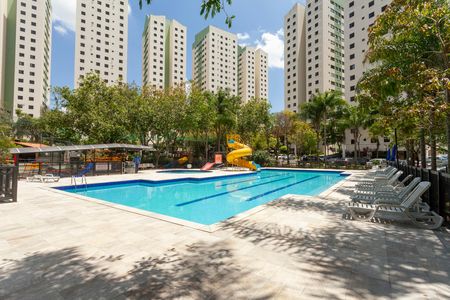 Apartamento à venda com 65m², 3 quartos e 1 vaga Apartamento à venda com 65m², 3 quartos e 1 vagaÁrea comum - Piscina