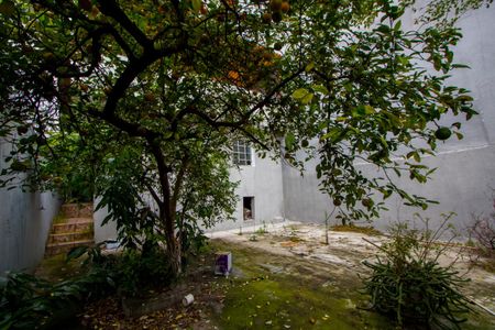 Casa à venda com 320m², 2 quartos e 2 vagas Casa à venda com 320m², 2 quartos e 2 vagasQuintal