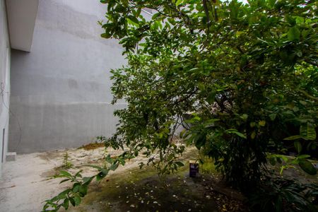 Casa à venda com 320m², 2 quartos e 2 vagas Casa à venda com 320m², 2 quartos e 2 vagasQuintal