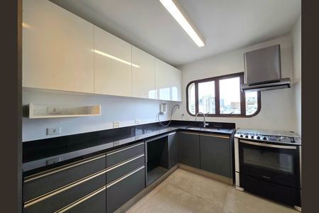 Apartamento à venda com 233m², 3 quartos e 2 vagasCozinha
