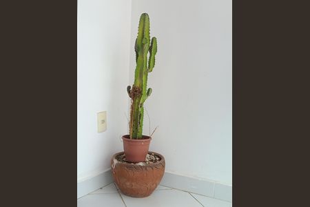 Apartamento para alugar com 70m², 2 quartos e 2 vagas