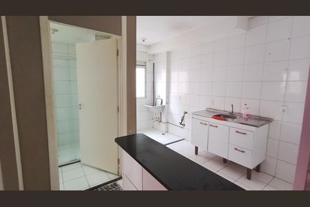 Cozinha  de apartamento para alugar com 2 quartos, 49m² em Jardim Monte Cristo, Suzano