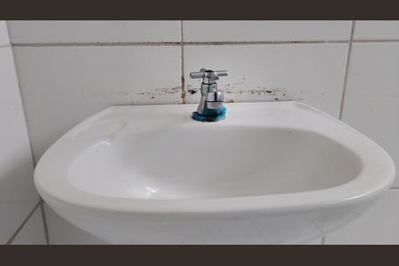 Banheiro  de apartamento para alugar com 2 quartos, 49m² em Jardim Monte Cristo, Suzano