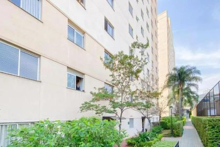 Foto 17 de apartamento à venda com 2 quartos, 47m² em Rio Pequeno, São Paulo