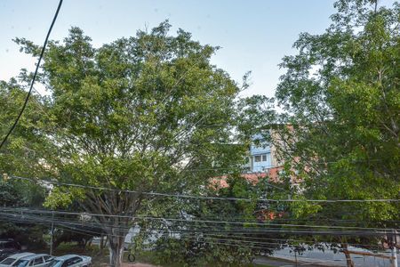 Vista da Suite de casa para alugar com 2 quartos, 50m² em Parque Grajau, São Paulo