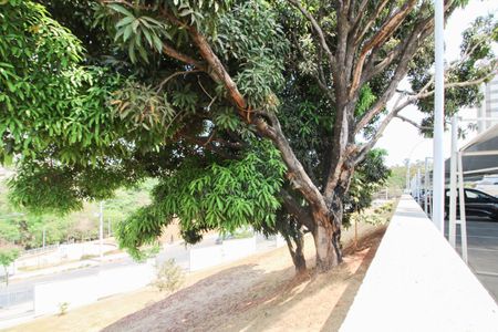 Apartamento para alugar com 46m², 2 quartos e 1 vaga Apartamento para alugar com 46m², 2 quartos e 1 vagaÁrea comum