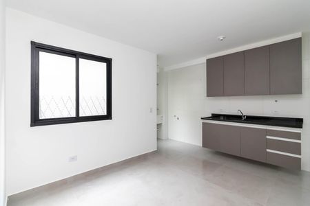 Sala de apartamento para alugar com 2 quartos, 43m² em Vila Dom Pedro Ii, São Paulo