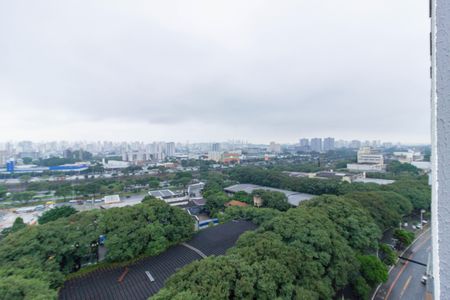 Apartamento para alugar com 38m², 2 quartos e sem vaga Apartamento para alugar com 38m², 2 quartos e sem vagaVista Quarto 1