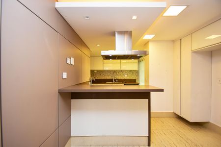 Apartamento à venda com 250m², 3 quartos e 2 vagascozinha
