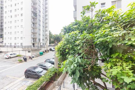 Apartamento para alugar com 60m², 3 quartos e 1 vagaVista 