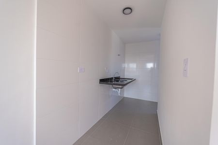Cozinha de apartamento para alugar com 2 quartos, 33m² em Vila Santa Teresa, São Paulo