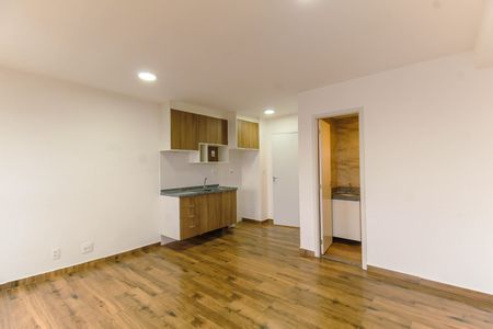 Sala/Quarto de kitnet/studio para alugar com 1 quarto, 27m² em Belenzinho, São Paulo