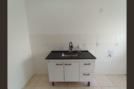 Cozinha de apartamento para alugar com 2 quartos, 42m² em Valentina Figueiredo, Ribeirão Preto