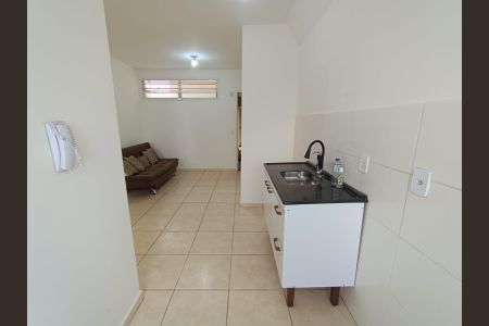 Cozinha de apartamento para alugar com 2 quartos, 42m² em Valentina Figueiredo, Ribeirão Preto