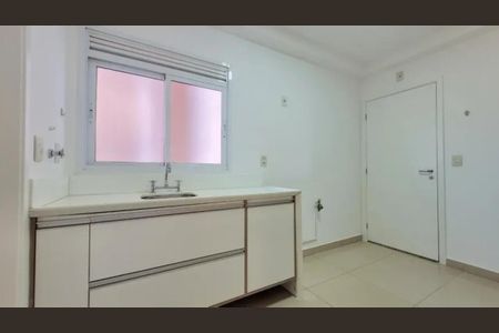 Cozinha de apartamento para alugar com 2 quartos, 113m² em Subsetor Sul - 7 (S-7), Ribeirão Preto