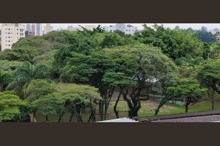 Apartamento à venda com 68m², 2 quartos e 1 vaga Apartamento à venda com 68m², 2 quartos e 1 vagaVista