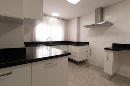 Apartamento para alugar com 390m², 4 quartos e 3 vagas Apartamento para alugar com 390m², 4 quartos e 3 vagasCozinha - Armários
