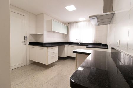 Apartamento para alugar com 390m², 4 quartos e 3 vagas Apartamento para alugar com 390m², 4 quartos e 3 vagasCozinha - Armários