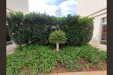 Apartamento à venda com 204m², 4 quartos e 3 vagas