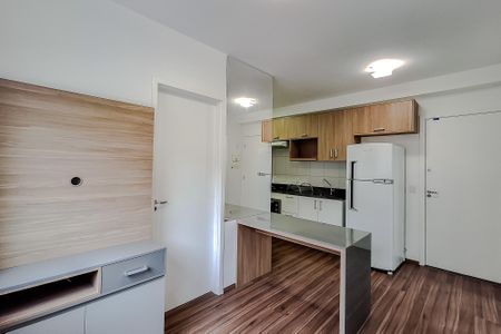 Sala de apartamento para alugar com 2 quartos, 35m² em Cambuci, São Paulo