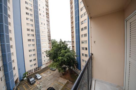 Apartamento para alugar com 74m², 3 quartos e 1 vaga