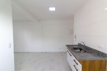 Apartamento para alugar com 52m², 2 quartos e 1 vagaCozinha integrada com área de serviço