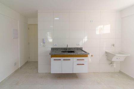 Apartamento para alugar com 52m², 2 quartos e 1 vagaCozinha integrada com área de serviço