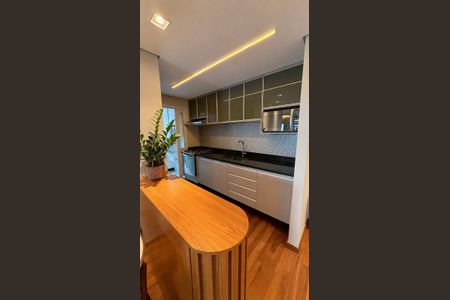 Cozinha de apartamento para alugar com 2 quartos, 90m² em Ipiranga, São Paulo
