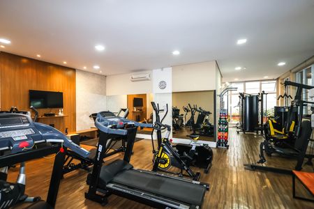 Academia de apartamento para alugar com 3 quartos, 115m² em Vila Monumento, São Paulo