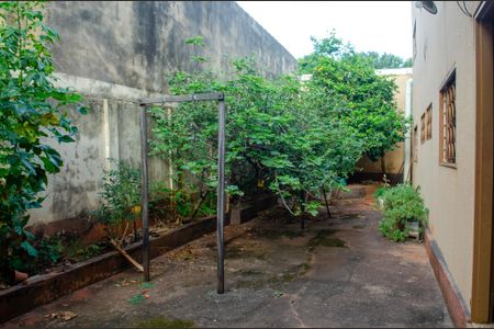 Casa à venda com 350m², 7 quartos e 9 vagas