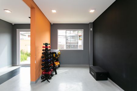 Apartamento para alugar com 52m², 2 quartos e sem vaga Apartamento para alugar com 52m², 2 quartos e sem vagaÁrea comum - Academia