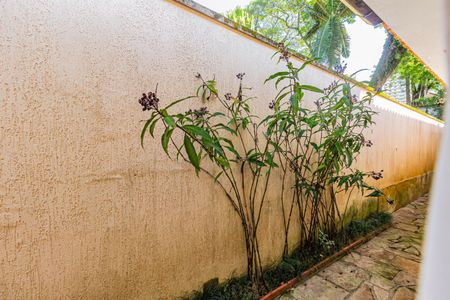 Casa para alugar com 1200m², 6 quartos e 3 vagasVista da Sala de Jantar