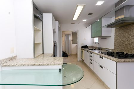 Apartamento para alugar com 192m², 3 quartos e 3 vagas Apartamento para alugar com 192m², 3 quartos e 3 vagascozinha