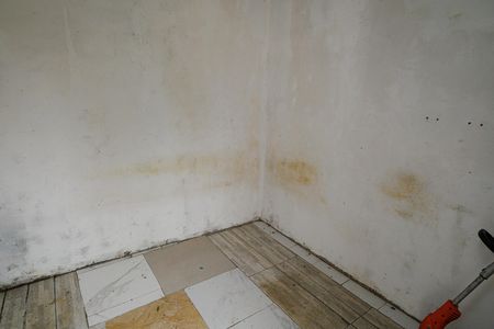 Casa para alugar com 49m², 3 quartos e 5 vagas Casa para alugar com 49m², 3 quartos e 5 vagasDispensa