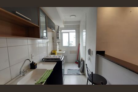Cozinha de apartamento para alugar com 2 quartos, 60m² em Santo Antonio da Prata, Belford Roxo