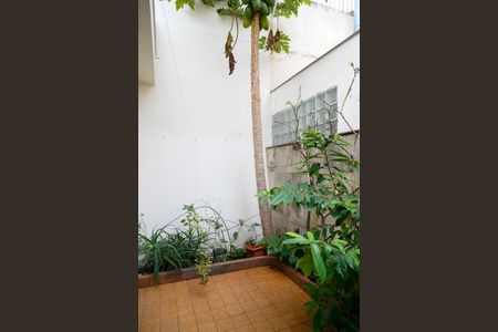Casa para alugar com 200m², 3 quartos e 2 vagasQuintal