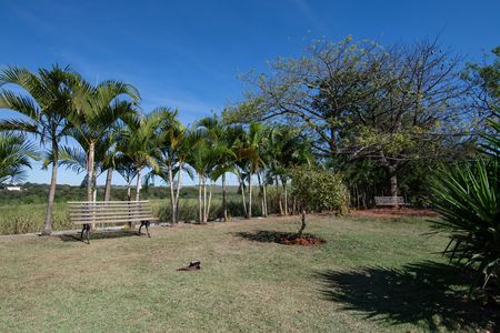 Apartamento para alugar com 54m², 2 quartos e 2 vagasÁrea Comum - Área Verde
