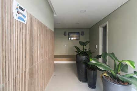 Apartamento para alugar com 36m², 2 quartos e sem vaga Apartamento para alugar com 36m², 2 quartos e sem vagaÁrea Comum