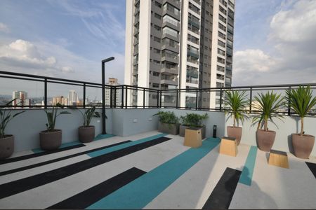 Studio para alugar com 28m², 1 quarto e sem vagaTerraço
