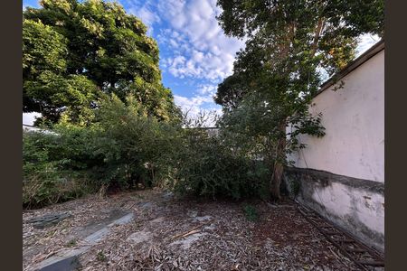 Casa para alugar com 500m², 2 quartos e 3 vagasQuintal