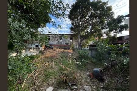 Casa para alugar com 500m², 2 quartos e 3 vagasQuintal