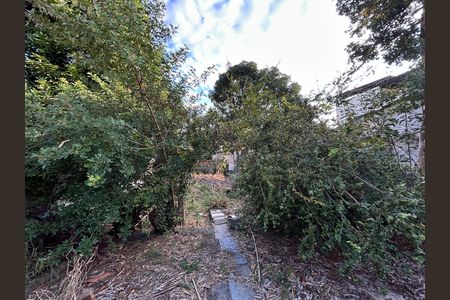 Casa para alugar com 500m², 2 quartos e 3 vagasQuintal