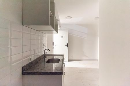Cozinha de apartamento para alugar com 2 quartos, 40m² em Centro Histórico de São Paulo, São Paulo