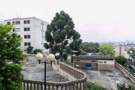 Vista do Quarto 1  de apartamento para alugar com 3 quartos, 56m² em Itaquera, São Paulo