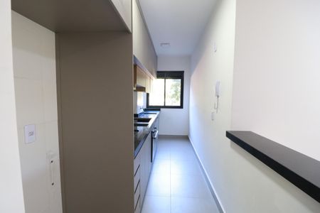 Cozinha  de apartamento para alugar com 2 quartos, 59m² em Terras de Santa Marta, Ribeirão Preto