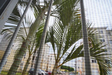 Apartamento para alugar com 77m², 3 quartos e 1 vaga Apartamento para alugar com 77m², 3 quartos e 1 vagaQuarto suíte _Vista